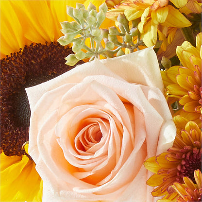 Pumpkin to Talk About Bouquet – MC SHANES FLORIST & GREENHOUSE INC, Belle Vernon PA
