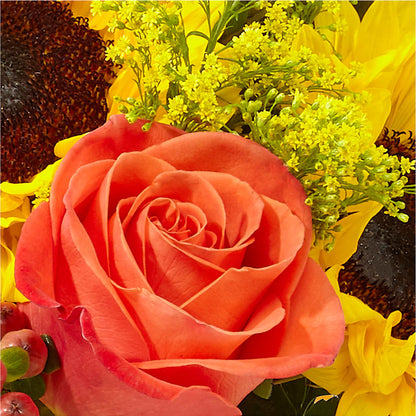 Pick of the Patch Pumpkin Bouquet – MC SHANES FLORIST & GREENHOUSE INC, Belle Vernon PA