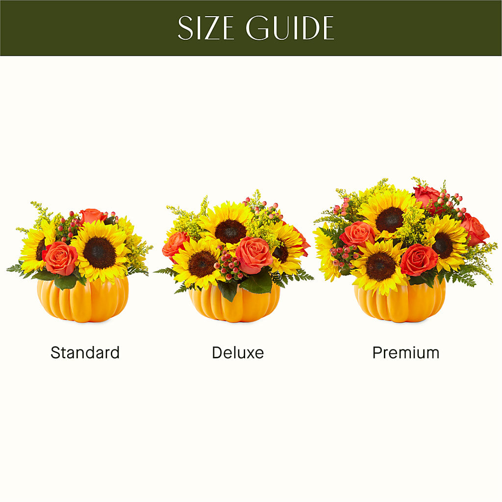 Pick of the Patch Pumpkin Bouquet – MC SHANES FLORIST & GREENHOUSE INC, Belle Vernon PA