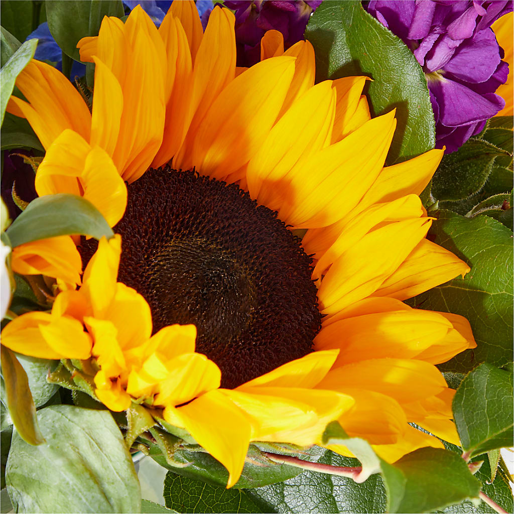Catching Rays Bouquet – MC SHANES FLORIST & GREENHOUSE INC, Belle Vernon PA