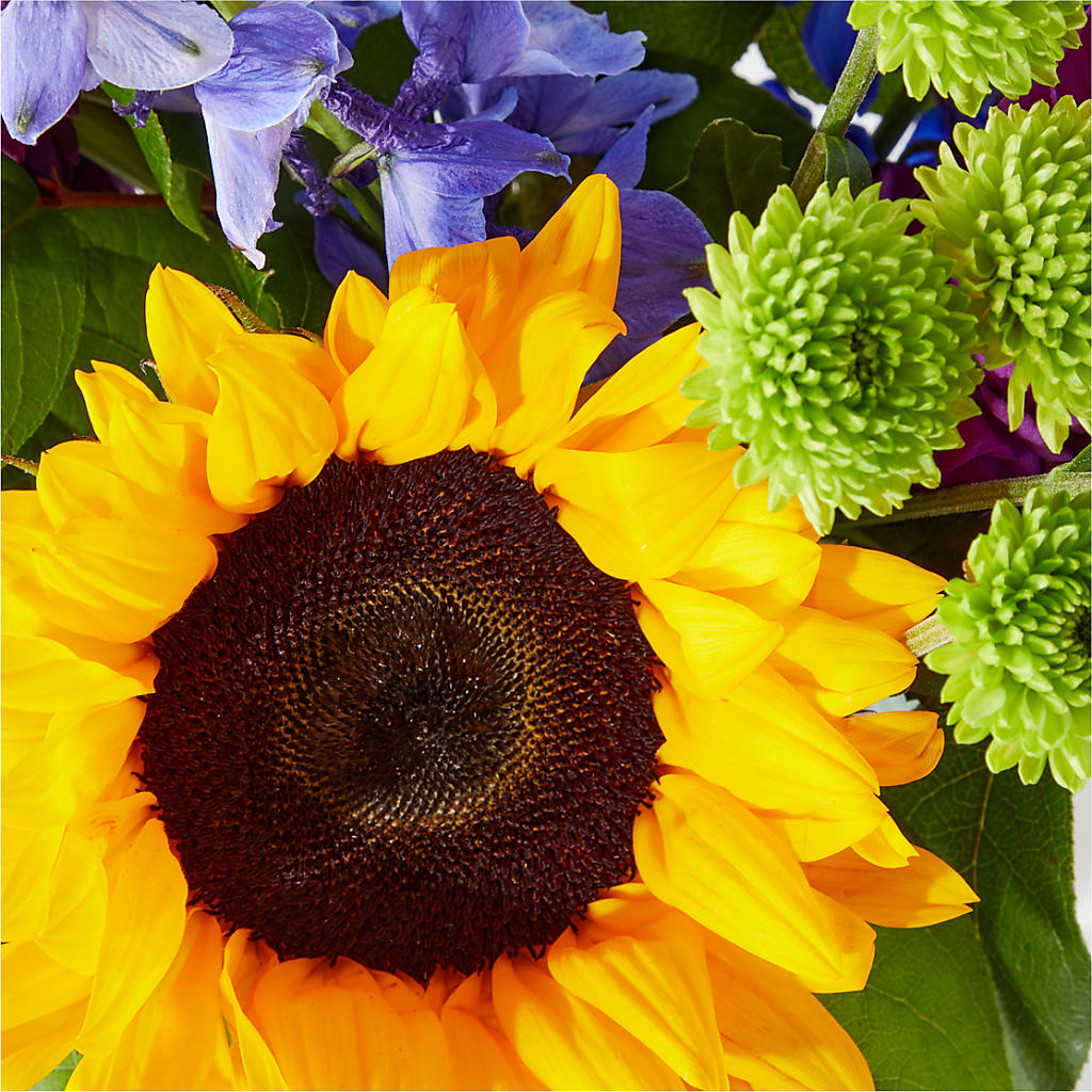 Catching Rays Bouquet – MC SHANES FLORIST & GREENHOUSE INC, Belle Vernon PA