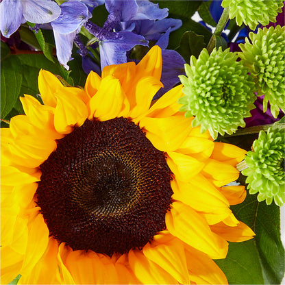 Catching Rays Bouquet – MC SHANES FLORIST & GREENHOUSE INC, Belle Vernon PA