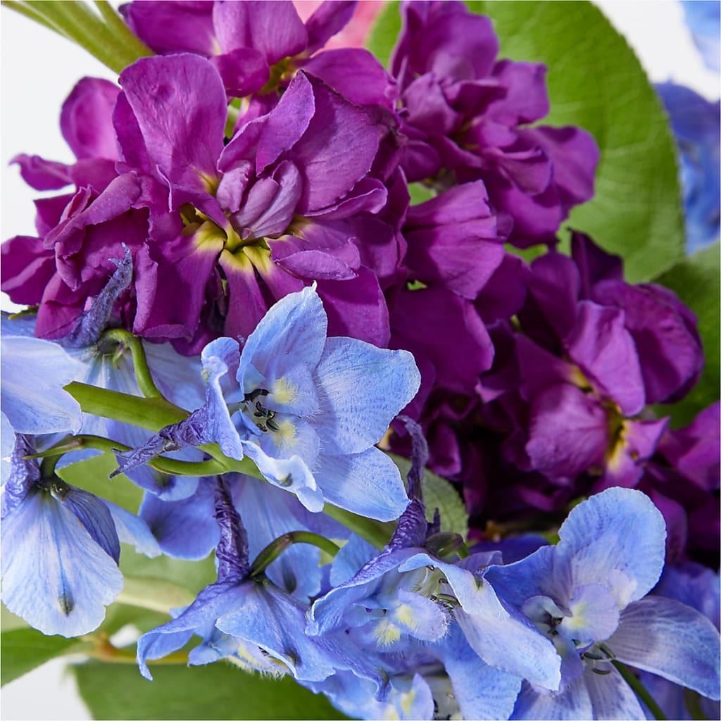 Twilight Glow Bouquet – MC SHANES FLORIST & GREENHOUSE INC, Belle Vernon PA