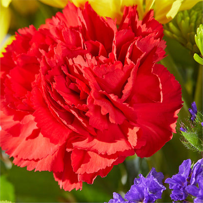 Brighter Days Bouquet – MC SHANES FLORIST & GREENHOUSE INC, Belle Vernon PA