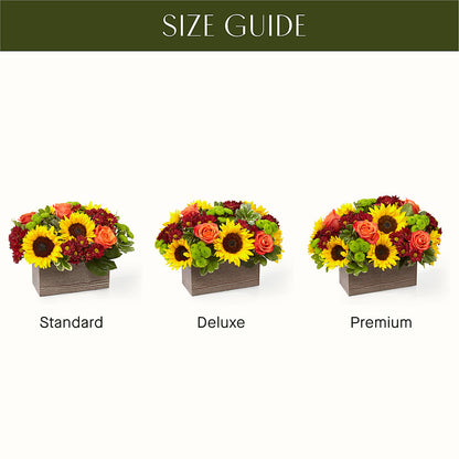 Happy Harvest Garden – MC SHANES FLORIST & GREENHOUSE INC, Belle Vernon PA