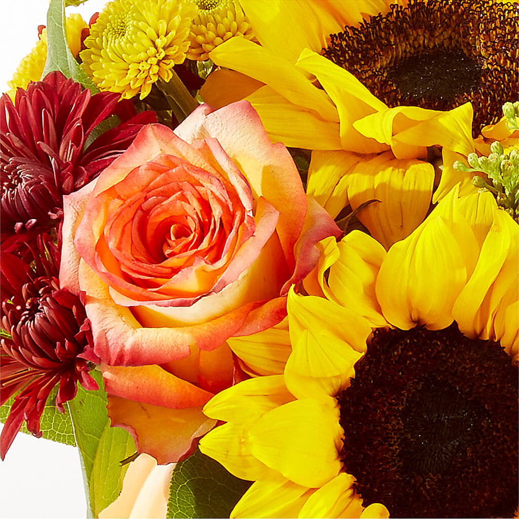 Golden Gourd Pumpkin Bouquet – MC SHANES FLORIST & GREENHOUSE INC, Belle Vernon PA