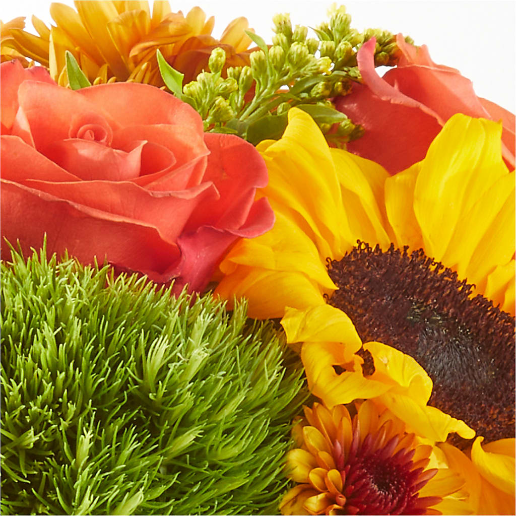 Farmer’s Market Stroll Bouquet – MC SHANES FLORIST & GREENHOUSE INC, Belle Vernon PA