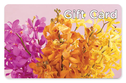 Gift Card – MC SHANES FLORIST & GREENHOUSE INC, Belle Vernon PA
