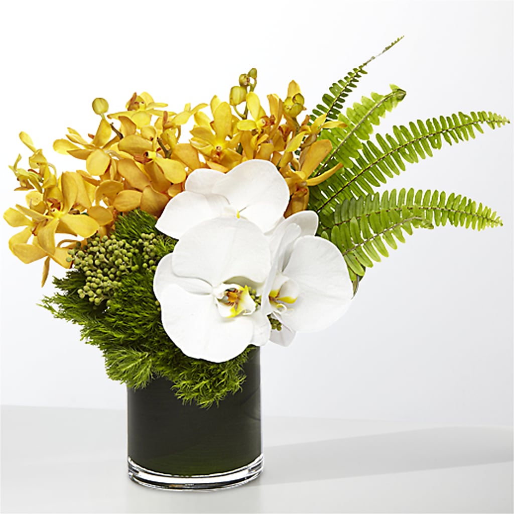 The Tropics – MC SHANES FLORIST & GREENHOUSE INC, Belle Vernon PA