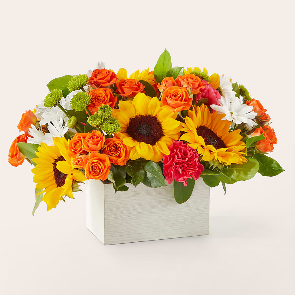 Sun-drenched Blooms Box Bouquet – MC SHANES FLORIST & GREENHOUSE INC, Belle Vernon PA