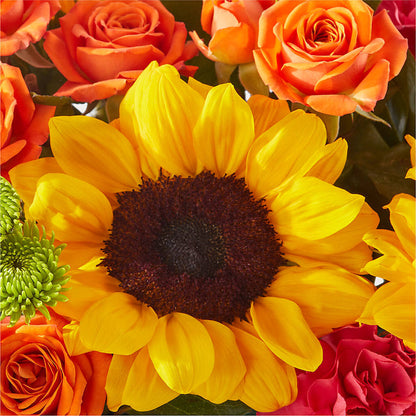 Sun-drenched Blooms Box Bouquet – MC SHANES FLORIST & GREENHOUSE INC, Belle Vernon PA