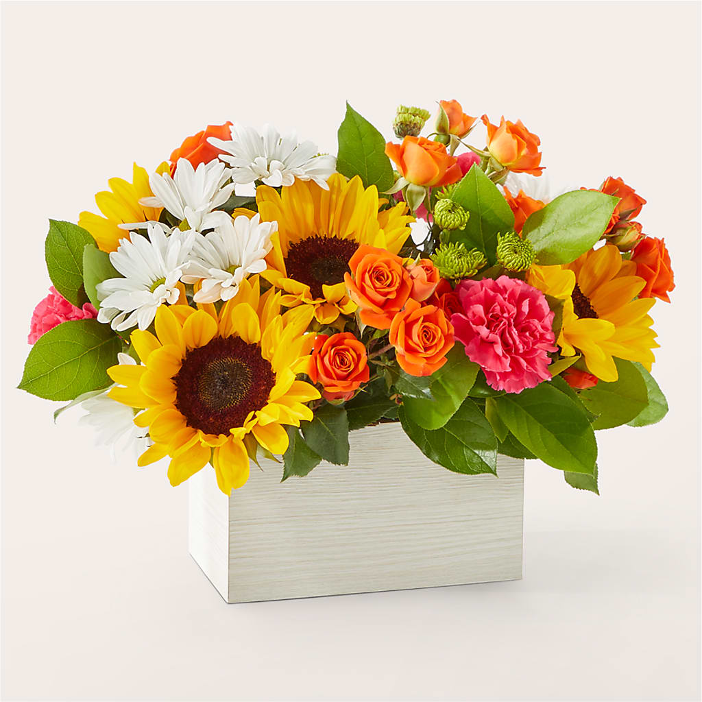 Sun-drenched Blooms Box Bouquet – MC SHANES FLORIST & GREENHOUSE INC, Belle Vernon PA
