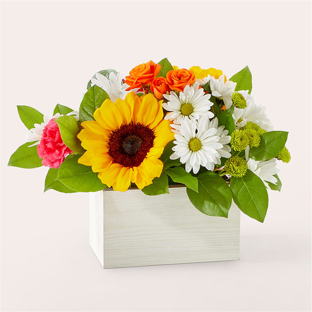 Sun-drenched Blooms Box Bouquet – MC SHANES FLORIST & GREENHOUSE INC, Belle Vernon PA
