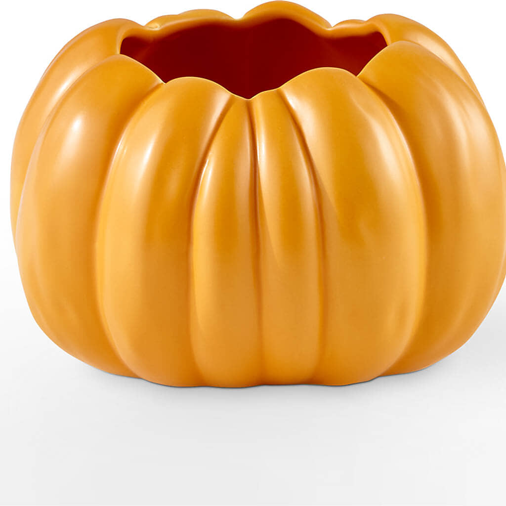 Golden Gourd Pumpkin Bouquet – MC SHANES FLORIST & GREENHOUSE INC, Belle Vernon PA