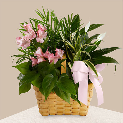 Living Spirit Dishgarden – MC SHANES FLORIST & GREENHOUSE INC, Belle Vernon PA