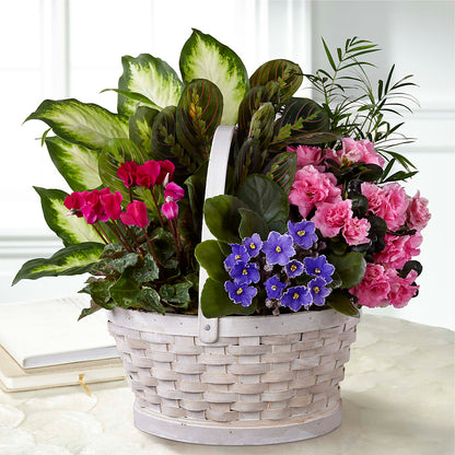 Peaceful Garden Planter – MC SHANES FLORIST & GREENHOUSE INC, Belle Vernon PA
