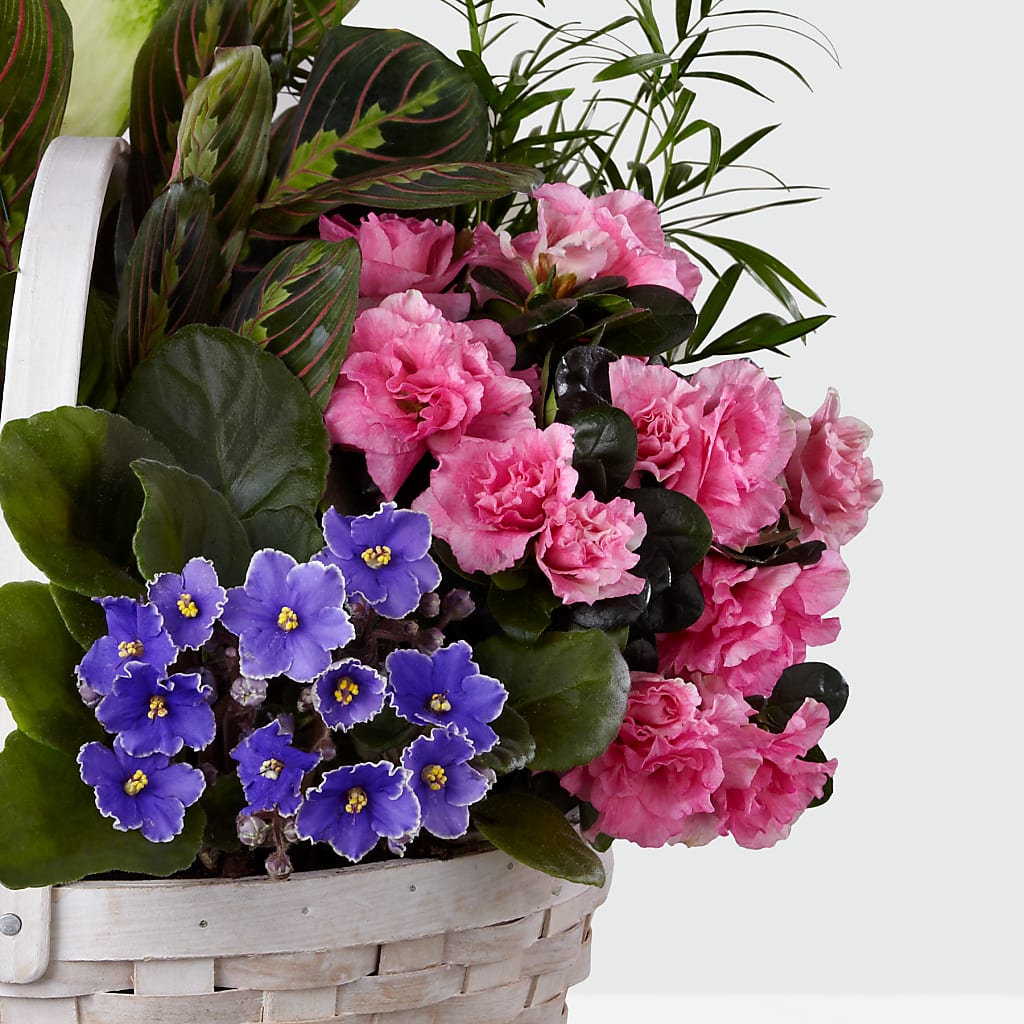 Peaceful Garden Planter – MC SHANES FLORIST & GREENHOUSE INC, Belle Vernon PA