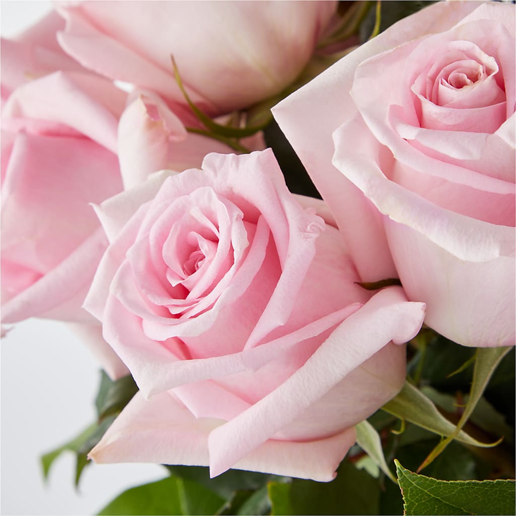 Picture Perfect Pink Rose Bouquet – MC SHANES FLORIST & GREENHOUSE INC, Belle Vernon PA
