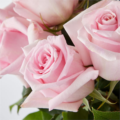 Picture Perfect Pink Rose Bouquet – MC SHANES FLORIST & GREENHOUSE INC, Belle Vernon PA