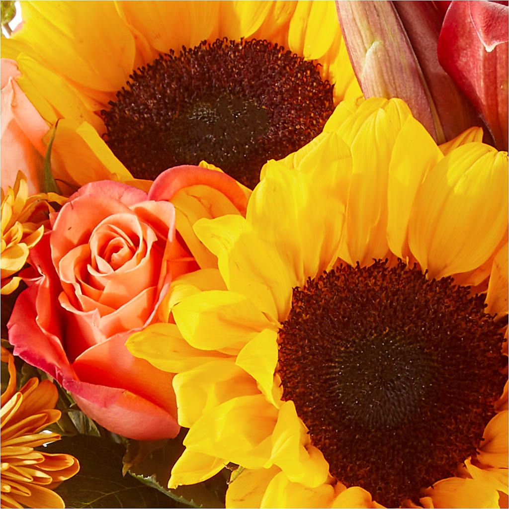 Acorn Lane Bouquet – MC SHANES FLORIST & GREENHOUSE INC, Belle Vernon PA