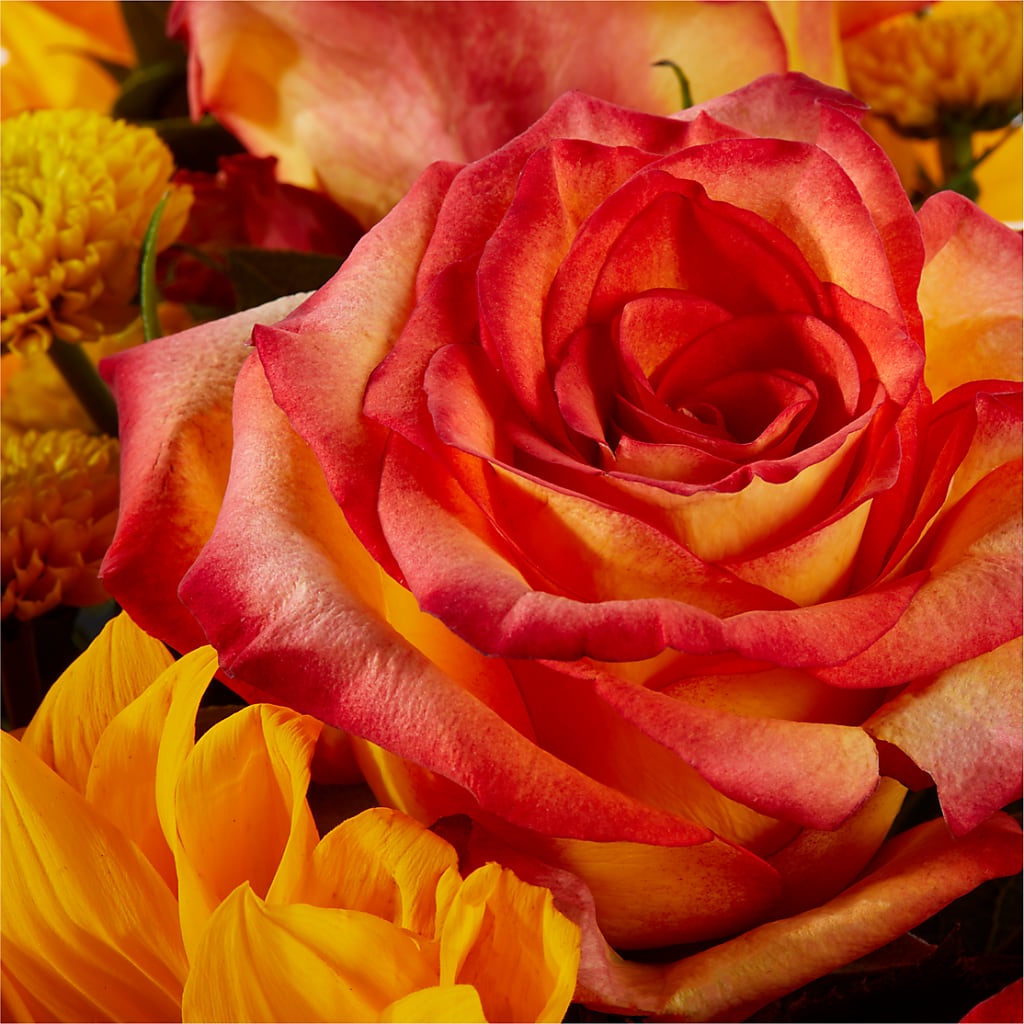 Picnic in the Park Bouquet – MC SHANES FLORIST & GREENHOUSE INC, Belle Vernon PA