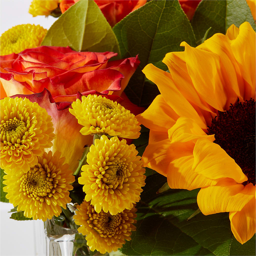 Picnic in the Park Bouquet – MC SHANES FLORIST & GREENHOUSE INC, Belle Vernon PA
