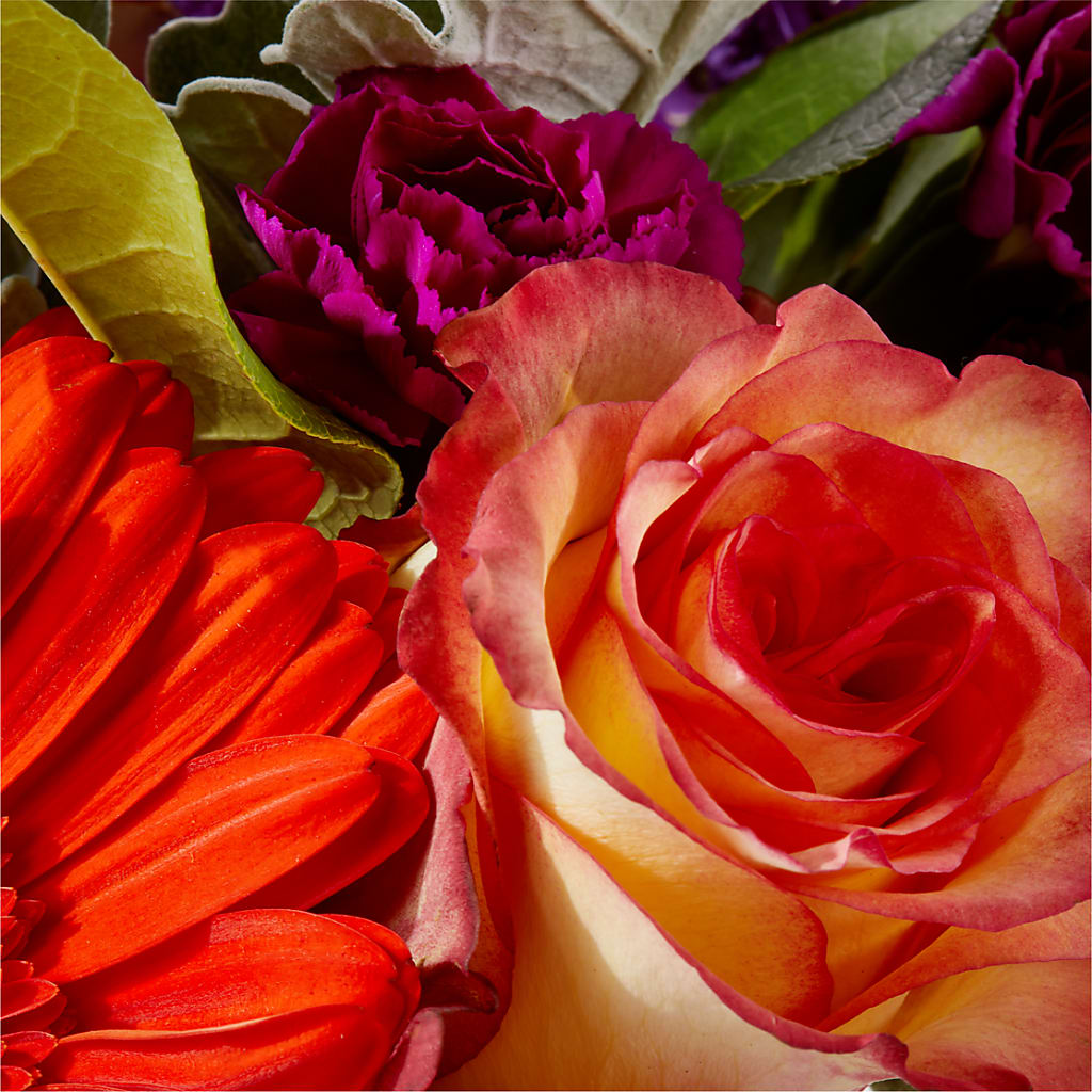 Sangria Bouquet – MC SHANES FLORIST & GREENHOUSE INC, Belle Vernon PA