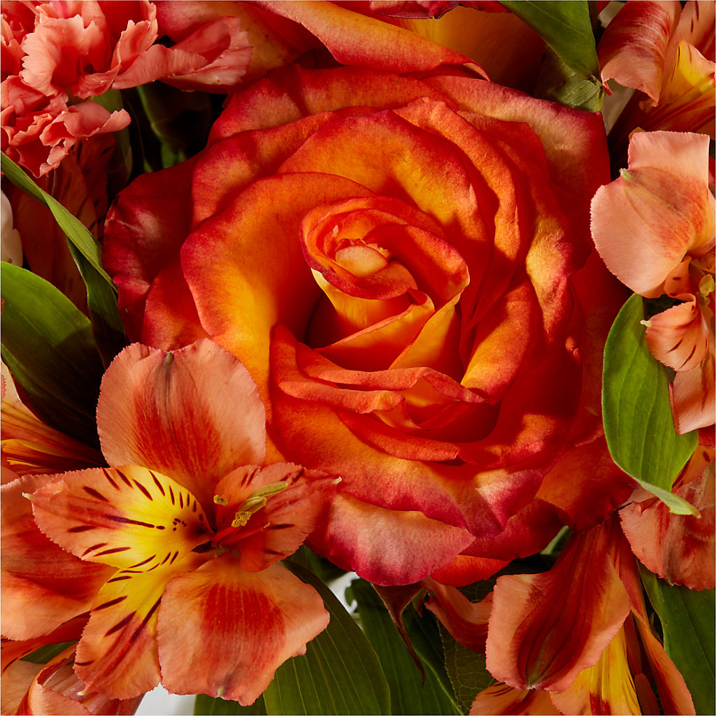 Apricot Glow Bouquet – MC SHANES FLORIST & GREENHOUSE INC, Belle Vernon PA