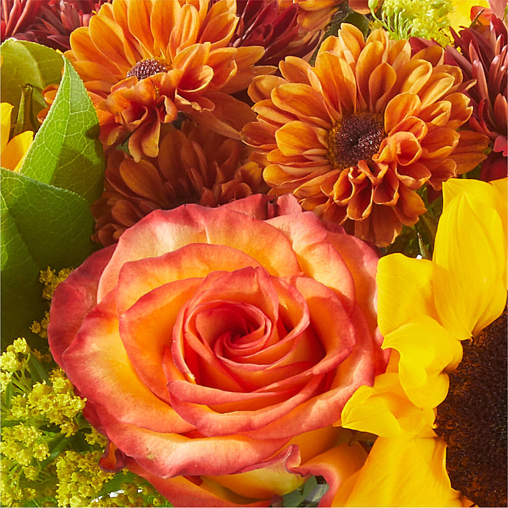 Flannel Scarf Bouquet – MC SHANES FLORIST & GREENHOUSE INC, Belle Vernon PA