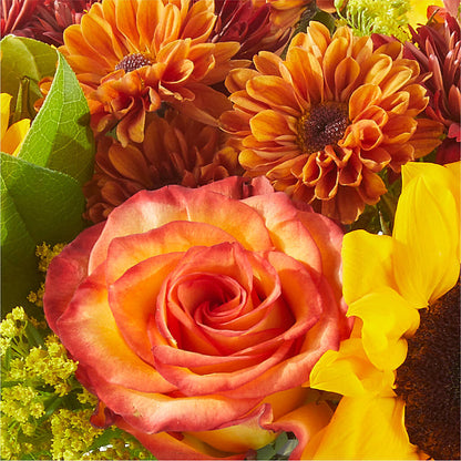 Flannel Scarf Bouquet – MC SHANES FLORIST & GREENHOUSE INC, Belle Vernon PA