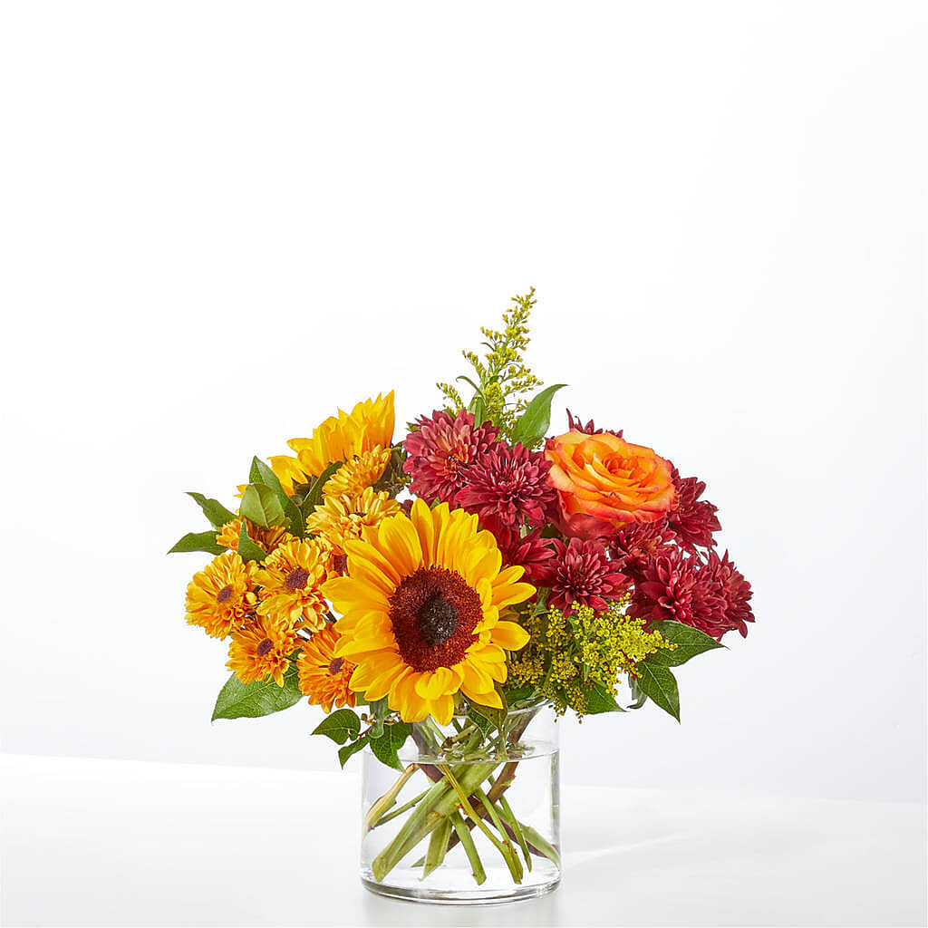 Flannel Scarf Bouquet – MC SHANES FLORIST & GREENHOUSE INC, Belle Vernon PA