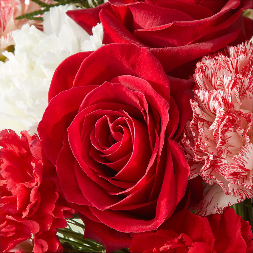 Candy Cane Lane Bouquet – MC SHANES FLORIST & GREENHOUSE INC, Belle Vernon PA