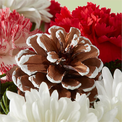 Candy Cane Lane Bouquet – MC SHANES FLORIST & GREENHOUSE INC, Belle Vernon PA