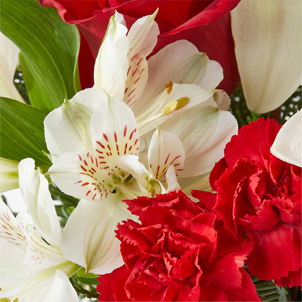 Holiday Season Bouquet – MC SHANES FLORIST & GREENHOUSE INC, Belle Vernon PA