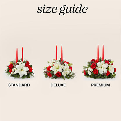 Seasonal Festivities Centerpiece – MC SHANES FLORIST & GREENHOUSE INC, Belle Vernon PA