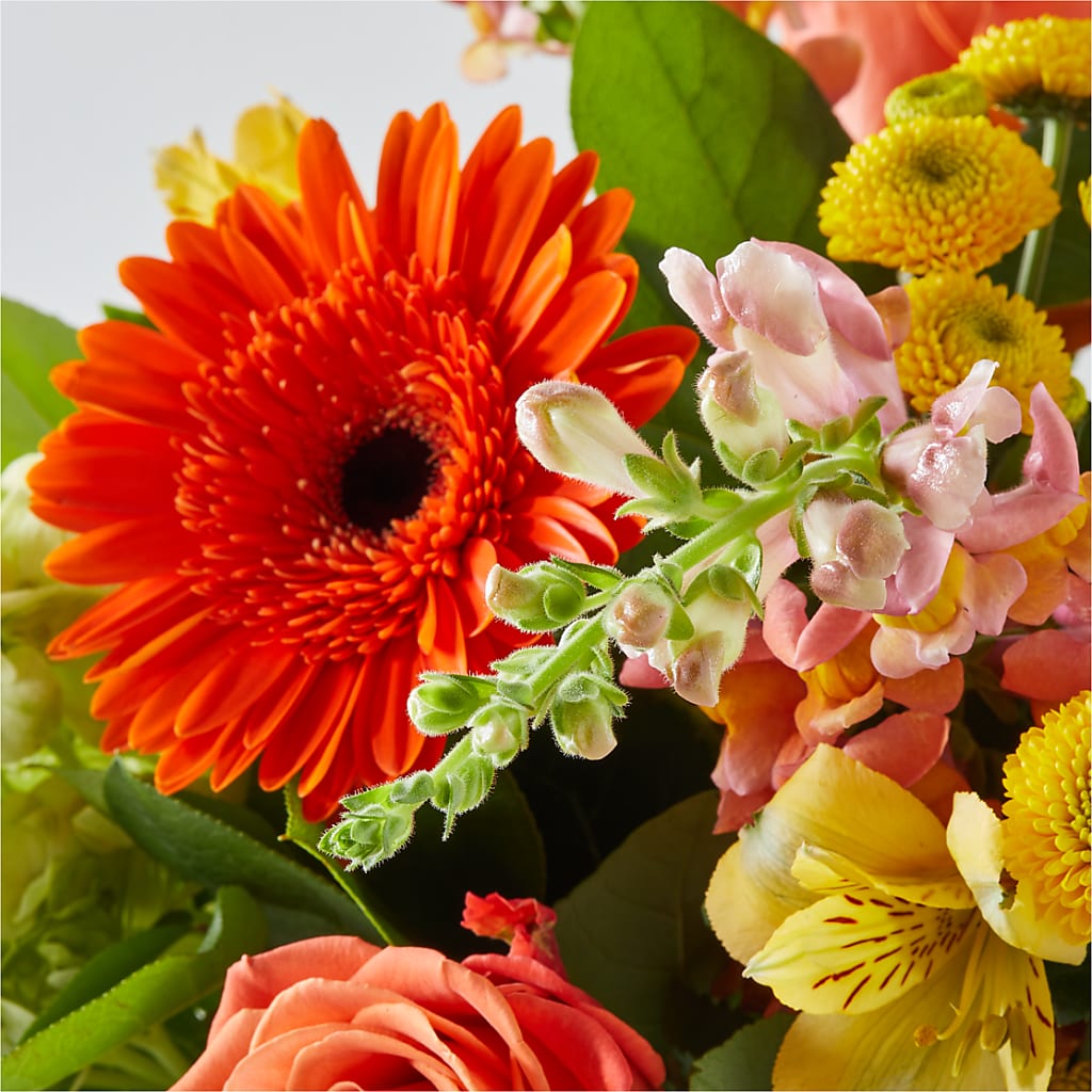 Autumn Sunshine Bouquet – MC SHANES FLORIST & GREENHOUSE INC, Belle Vernon PA