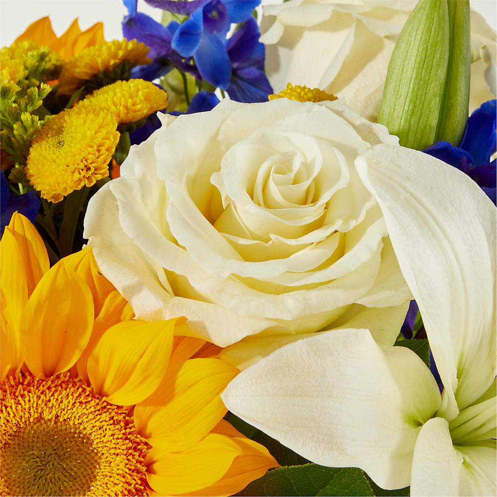 Stargazing Bouquet – MC SHANES FLORIST & GREENHOUSE INC, Belle Vernon PA