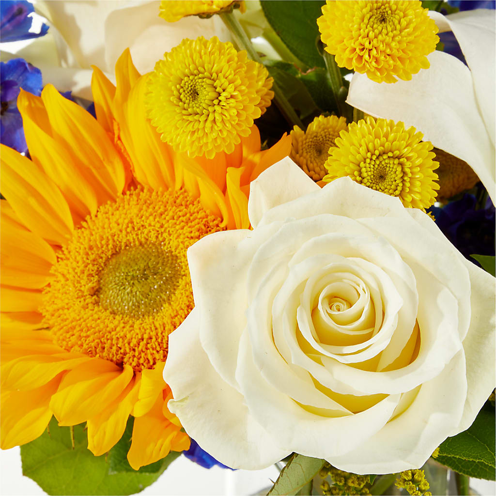 Stargazing Bouquet – MC SHANES FLORIST & GREENHOUSE INC, Belle Vernon PA