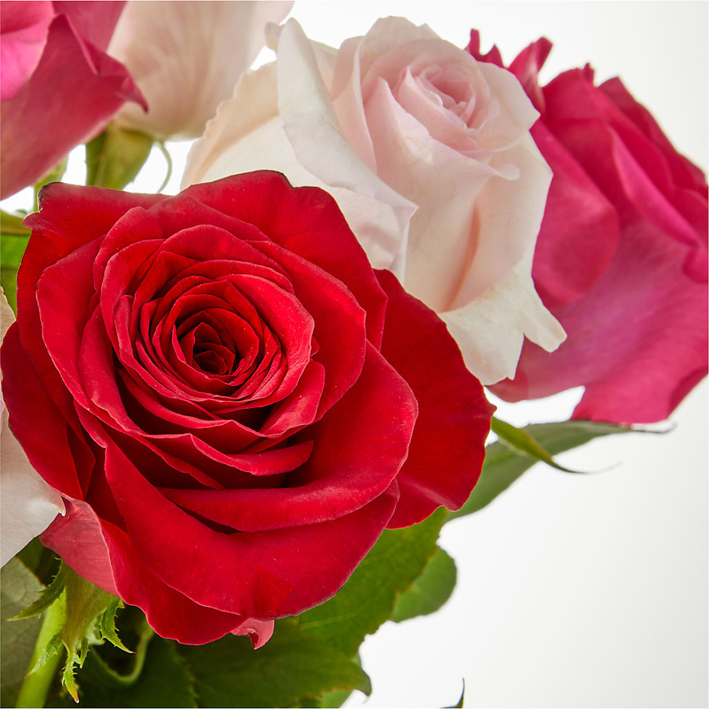 Charming Rose Bouquet – MC SHANES FLORIST & GREENHOUSE INC, Belle Vernon PA