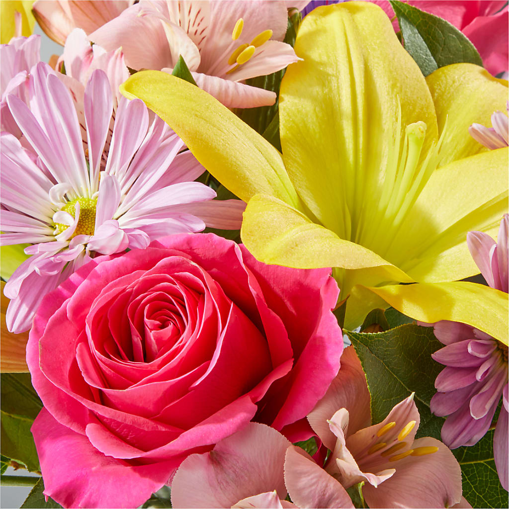 Sprinkles Bouquet – MC SHANES FLORIST & GREENHOUSE INC, Belle Vernon PA