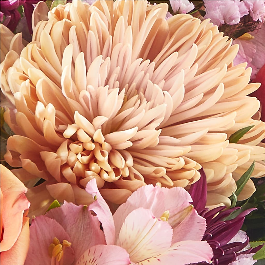 Berry Cobbler Bouquet – MC SHANES FLORIST & GREENHOUSE INC, Belle Vernon PA