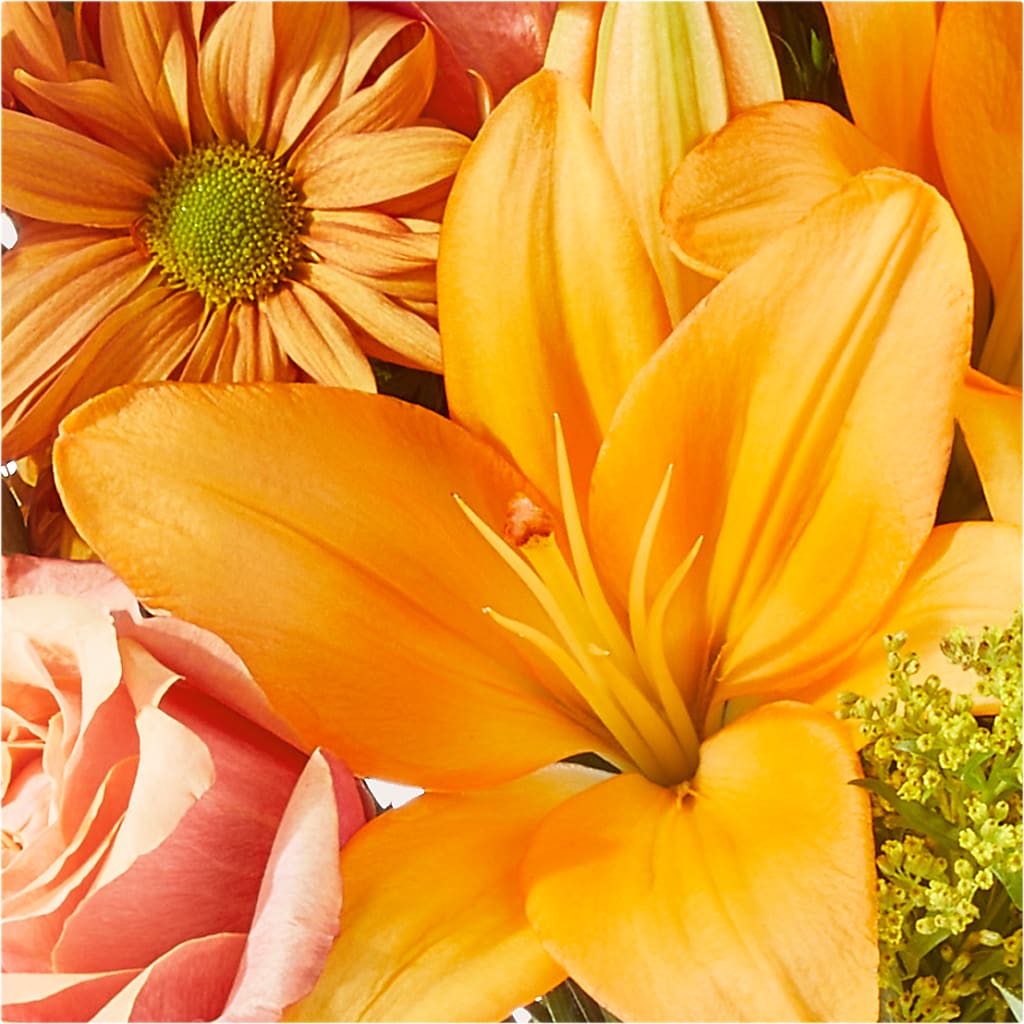 Harvest Hayride Bouquet – MC SHANES FLORIST & GREENHOUSE INC, Belle Vernon PA
