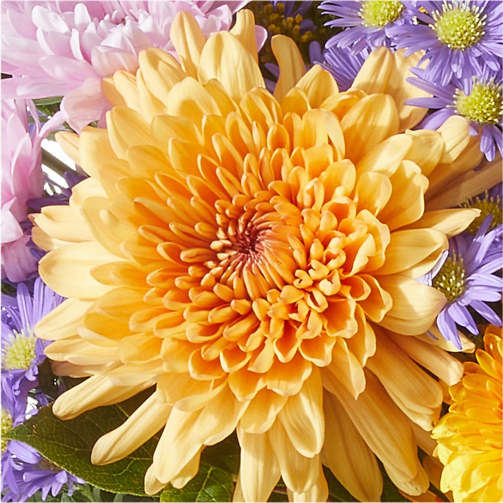 Countryside Bouquet – MC SHANES FLORIST & GREENHOUSE INC, Belle Vernon PA