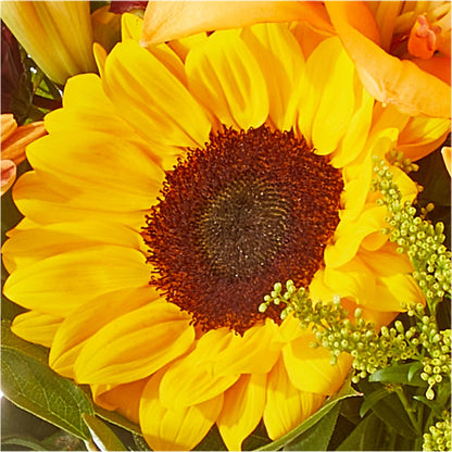 Seasons Change Bouquet – MC SHANES FLORIST & GREENHOUSE INC, Belle Vernon PA