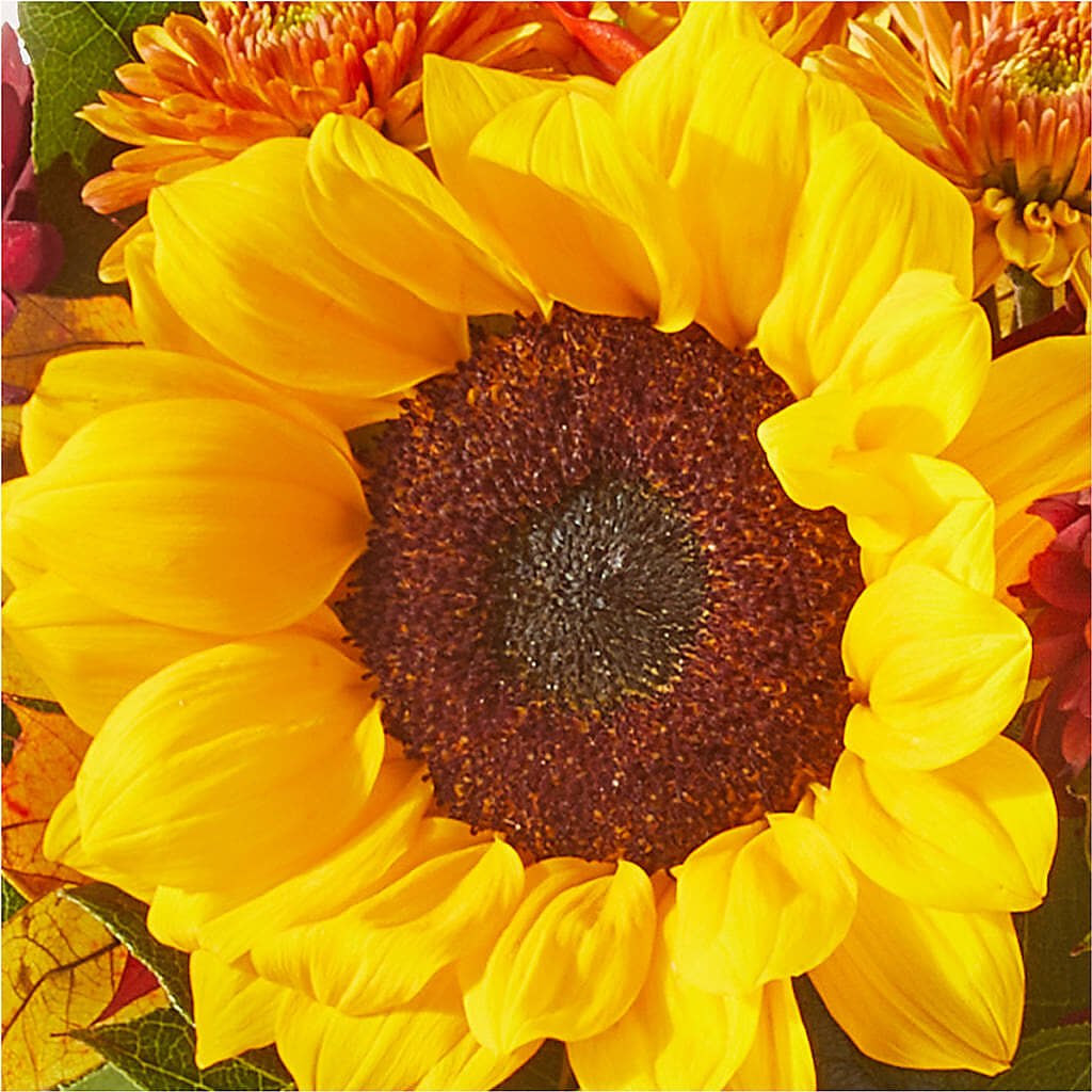 Sunny Side Bouquet – MC SHANES FLORIST & GREENHOUSE INC, Belle Vernon PA