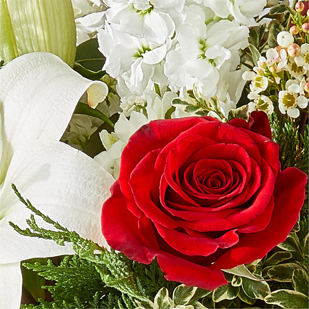 Twinkle Lights Bouquet – MC SHANES FLORIST & GREENHOUSE INC, Belle Vernon PA