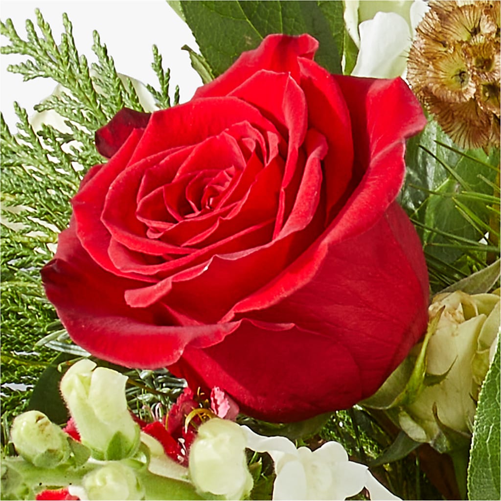 Deck the Halls Bouquet – MC SHANES FLORIST & GREENHOUSE INC, Belle Vernon PA