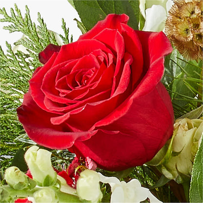 Deck the Halls Bouquet – MC SHANES FLORIST & GREENHOUSE INC, Belle Vernon PA