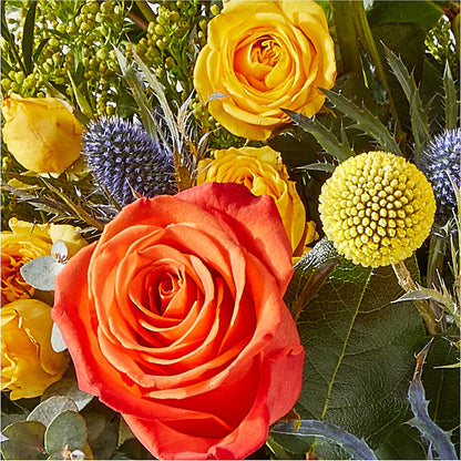 Disco Bouquet – MC SHANES FLORIST & GREENHOUSE INC, Belle Vernon PA
