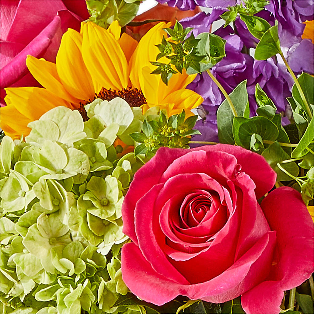 Vibrant Greetings Bouquet – MC SHANES FLORIST & GREENHOUSE INC, Belle Vernon PA
